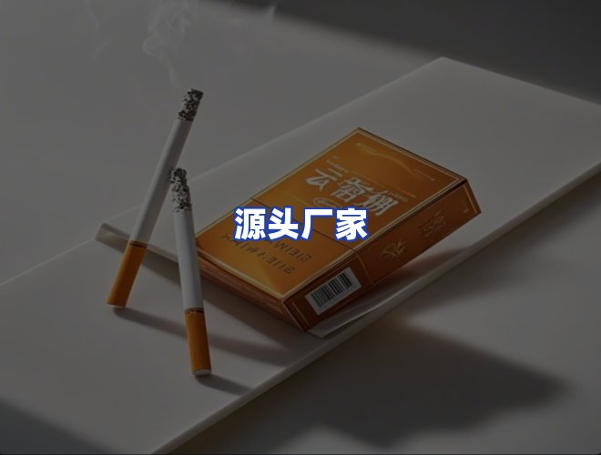 专业团队